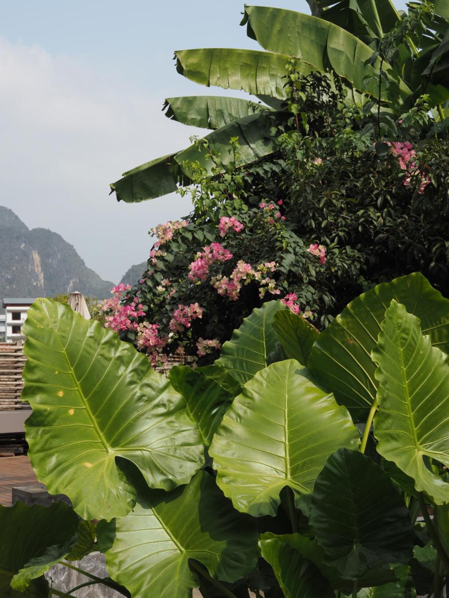 Yangshuo Hillside Homestay Esterno foto