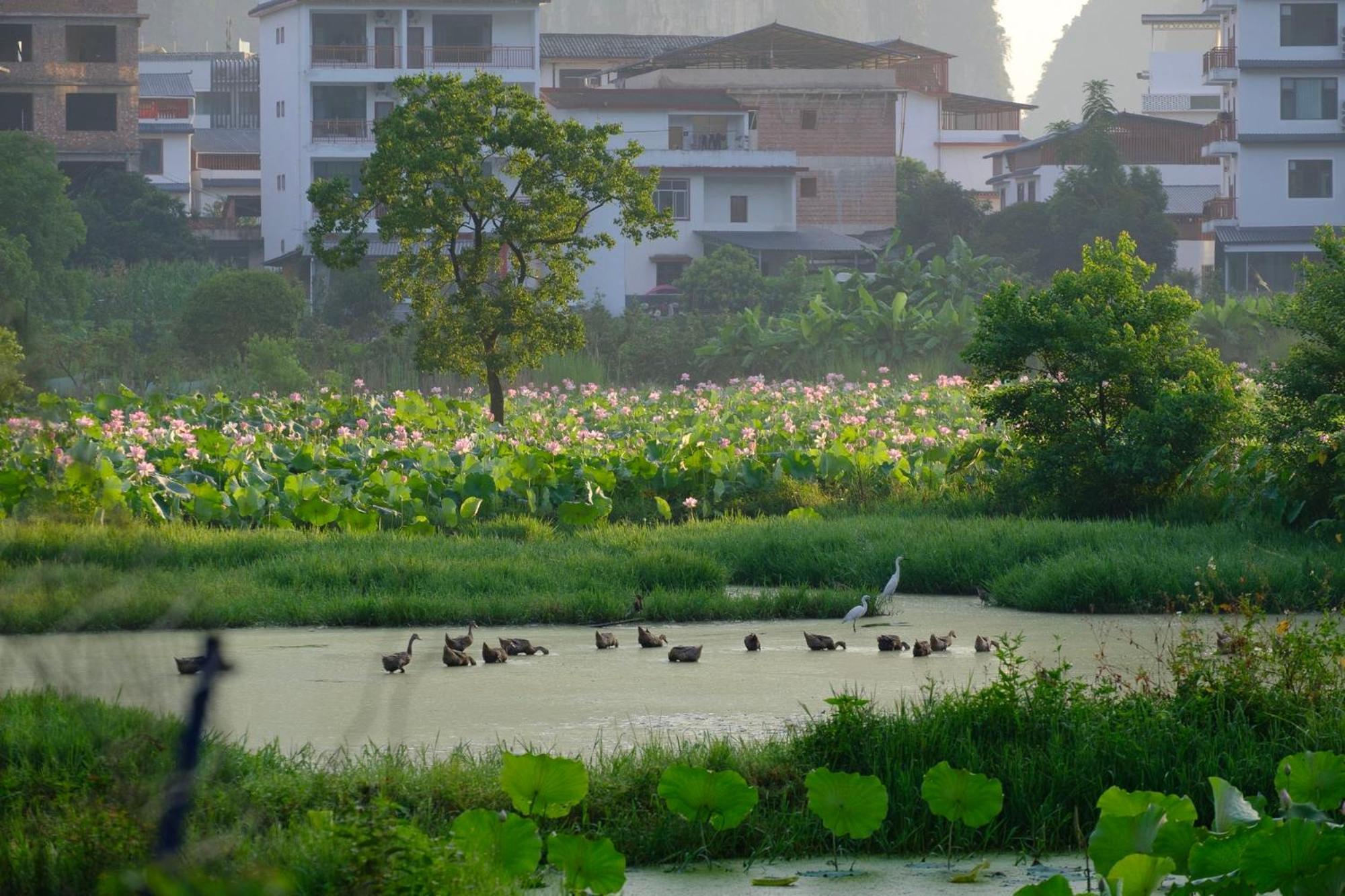 Yangshuo Hillside Homestay Esterno foto
