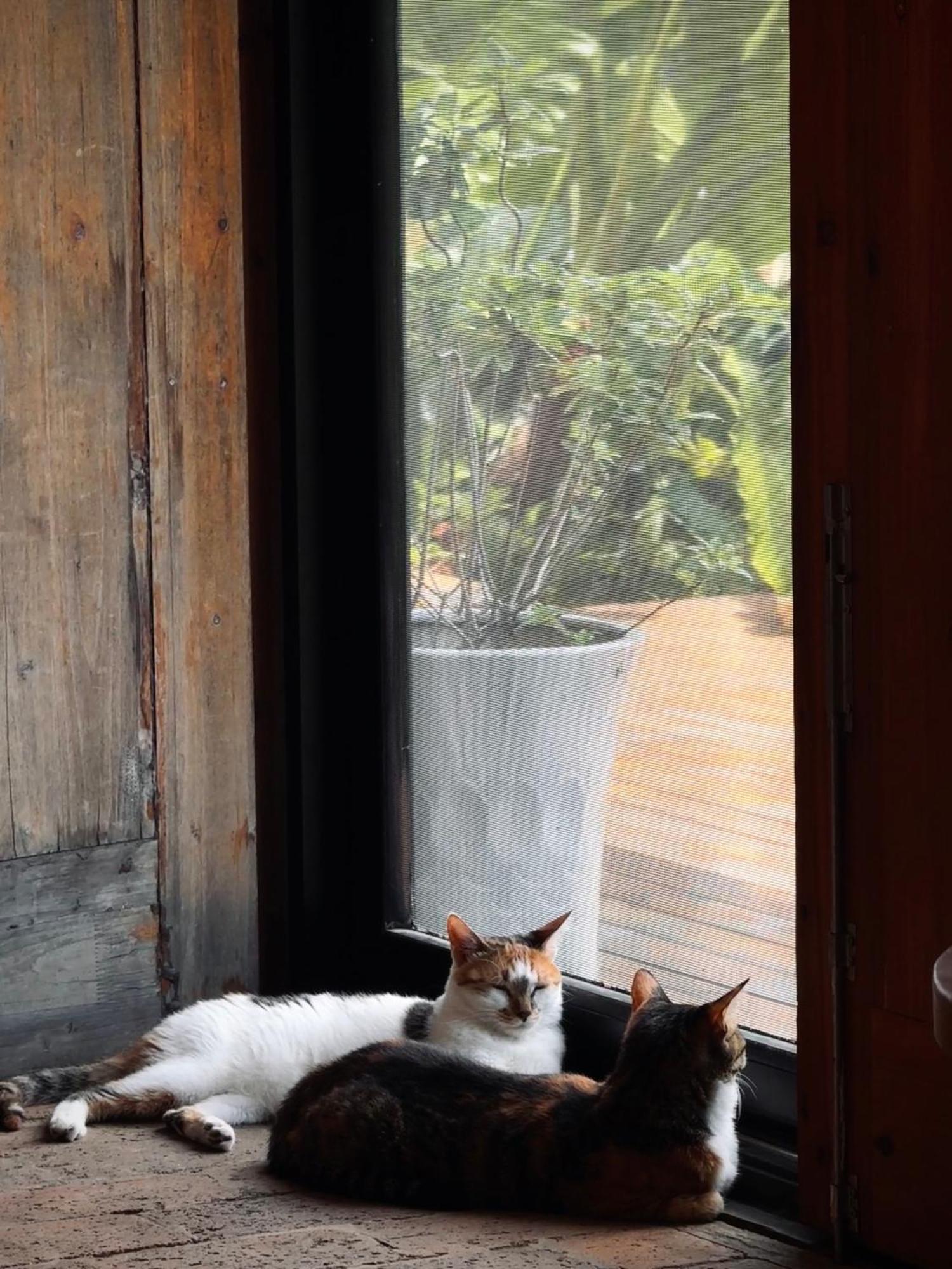 Yangshuo Hillside Homestay Esterno foto