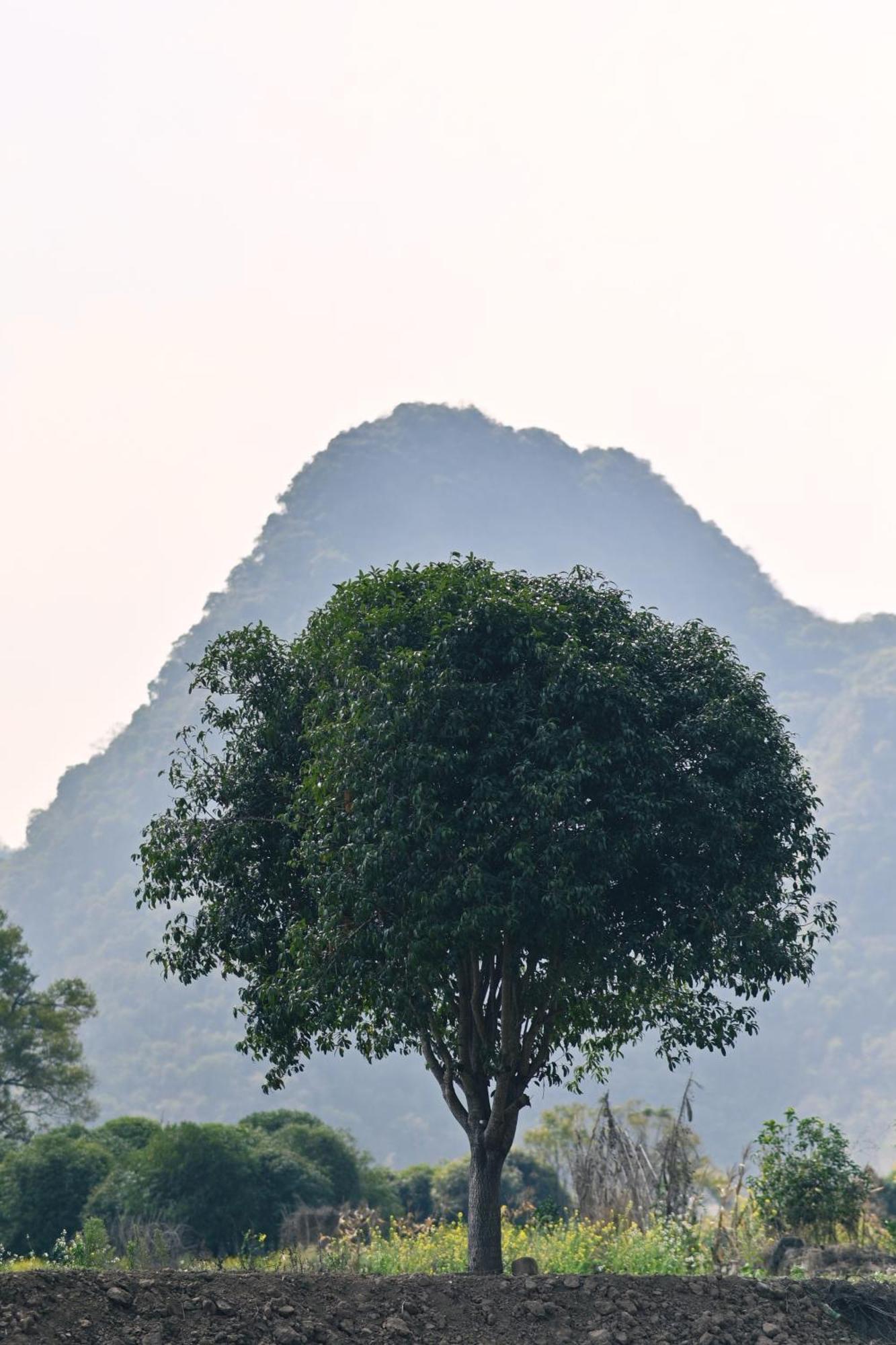 Yangshuo Hillside Homestay Esterno foto